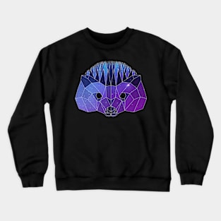 Galaxy Hedgehog Crewneck Sweatshirt